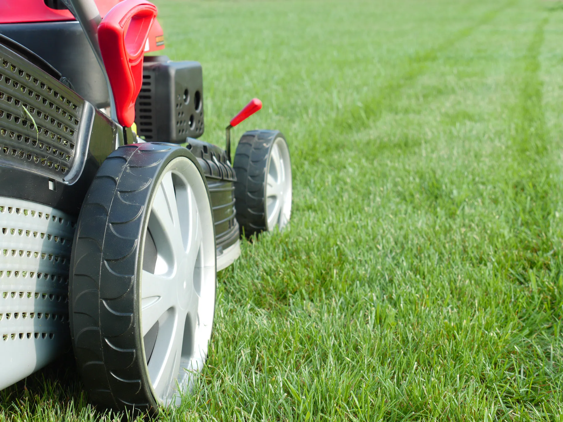 Close-up of a lawn mower cutting green grass
